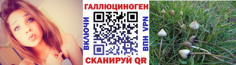 цены наркотик  Пыталово  кракен ССЫЛКА  Галлюциногенные грибы прущие грибы 